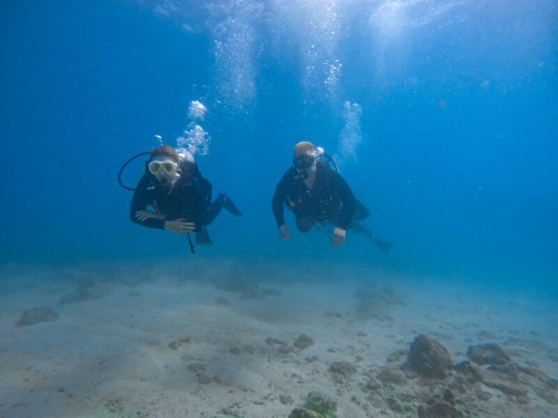 Scuba Diving for Beginners with Certified Diving Centre - Introduction: A Safe, Beginner-Friendly Introduction to the Underwater World
