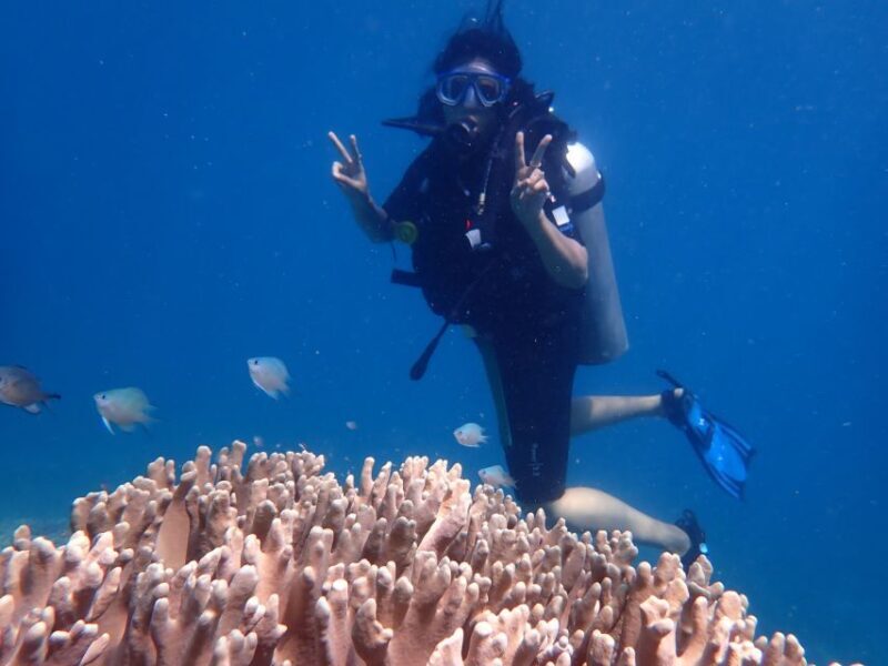 Scuba Diving for Beginners with Certified Diving Centre - Why the Reviews Confirm the Experience’s Strengths