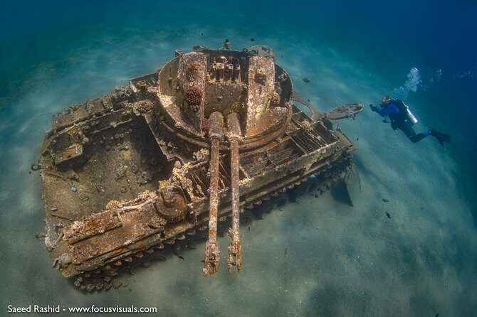 Scuba Diving for Certified Divers - Introduction: What Makes This Aqaba Diving Tour Stand Out?