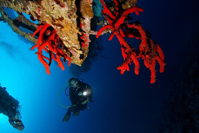 Scuba Diving for Certified Divers - Who Will Love This Tour?