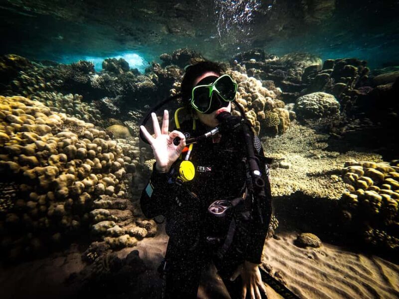 Scuba Diving in Aqaba and scuba Diving courses - Key Points