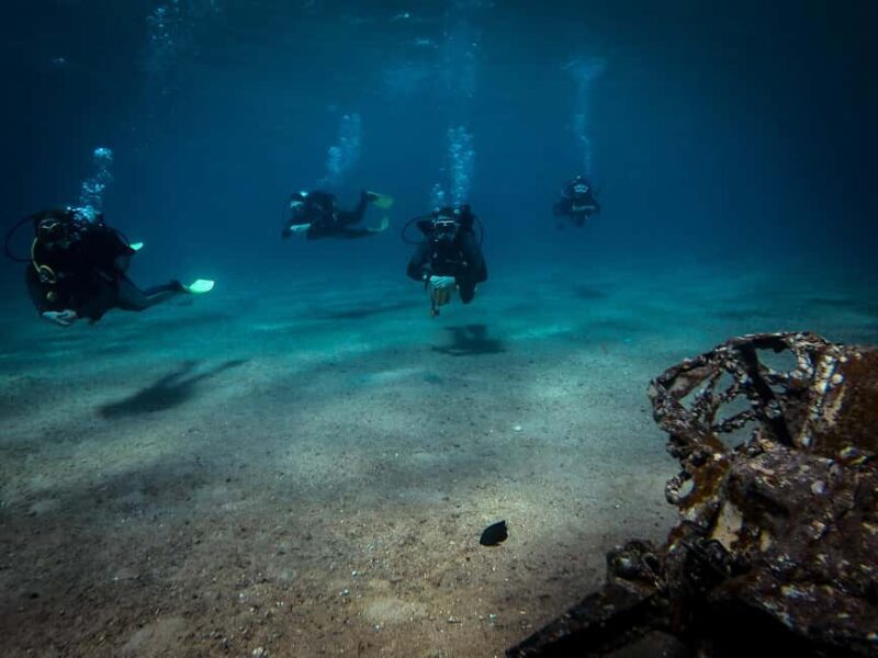 Scuba Diving in Aqaba and scuba Diving courses - What Makes This Dive Tour Stand Out