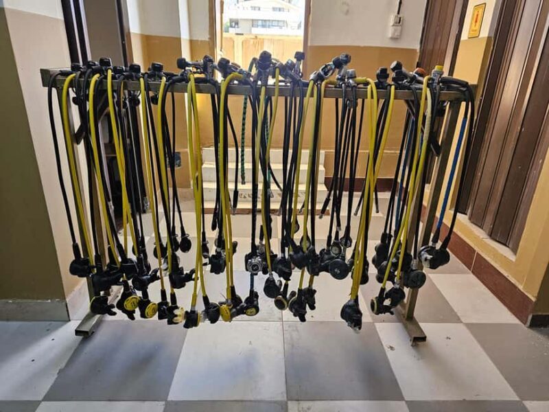 Scuba Diving in Aqaba and scuba Diving courses - The Sum Up: Is This Dive Tour Worth It?
