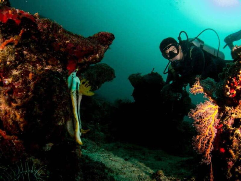 Scuba Diving in Boracay: SSI Basic Diver for Beginners - Key Points