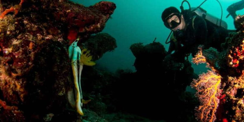 Scuba Diving in Boracay: SSI Basic Diver for Beginners - FAQs