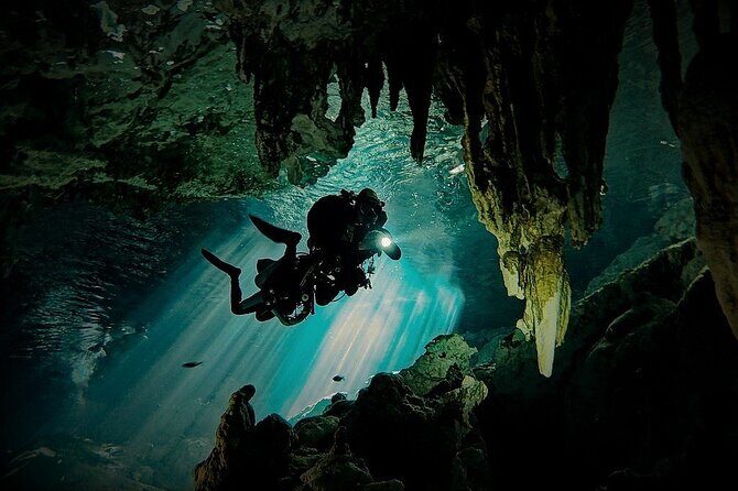 Scuba Diving in Cenote Dos Ojos from Playa del Carmen - An In-Depth Look at the Experience