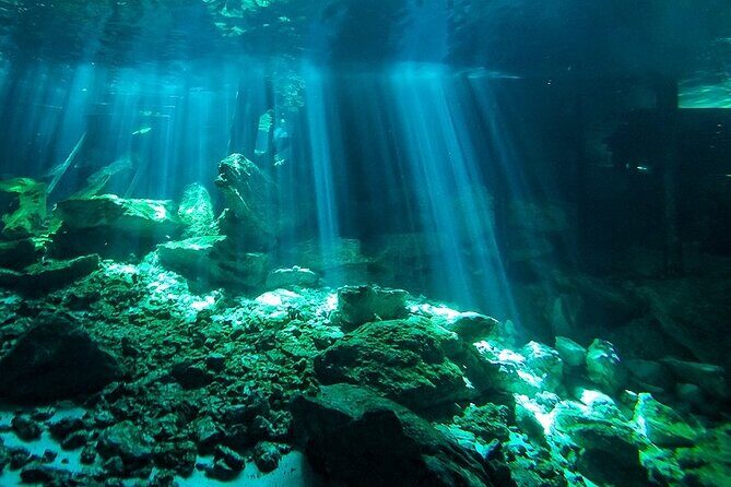 Scuba Diving in Cenote Dos Ojos from Playa del Carmen - Authentic Experiences and What Travelers Say
