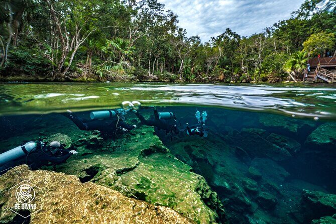 Scuba Diving in Cenotes - An In-Depth Look at the Cenote Diving Experience