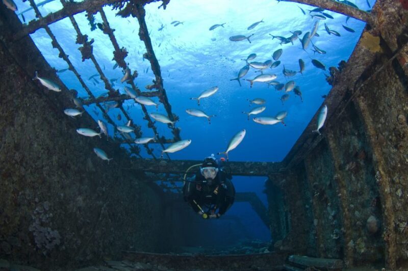 Scuba Diving in Colombo - The Sum Up