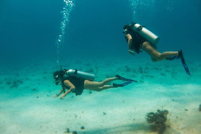 Scuba Diving in Cozumel Island - Final Thoughts