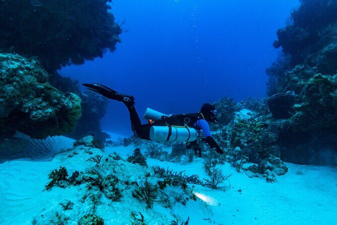 Scuba Diving in Cozumel or Playa del Carmen with Certificates - Who Should Consider This Tour?
