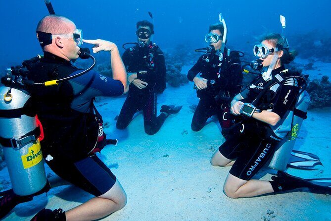 Scuba Diving in Fujairah with Private Transfers - Suitable for Beginners