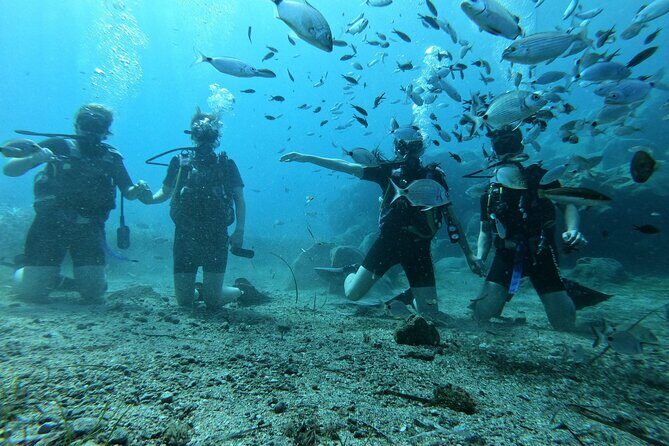 Scuba Diving in Fujairah with Private Transfers - Snorkeling and Relaxation