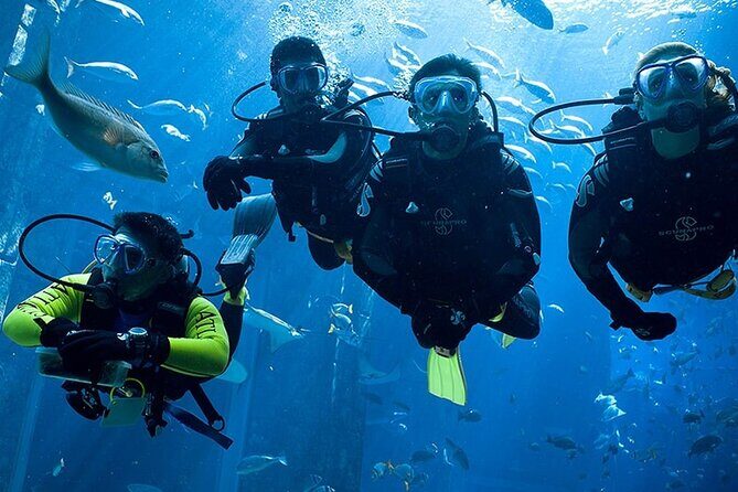 Scuba Diving in Fujairah with Private Transfers - Return and Drop-Off