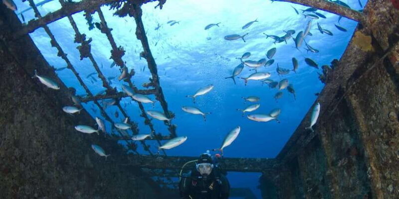 Scuba Diving in Hikkaduwa - Key Points