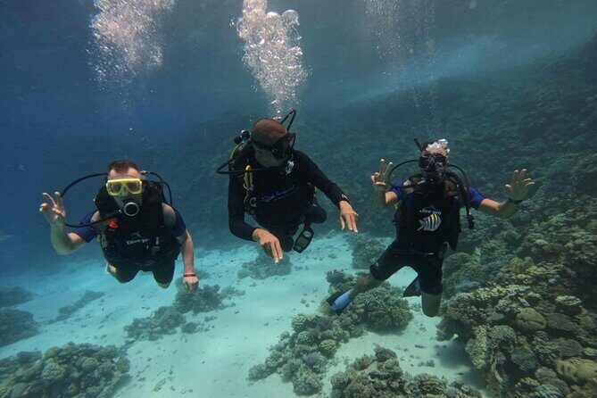 Scuba Diving in Hurghada _ 2 Stops Dive With Equipments & Lunch - What to Expect from the Tour