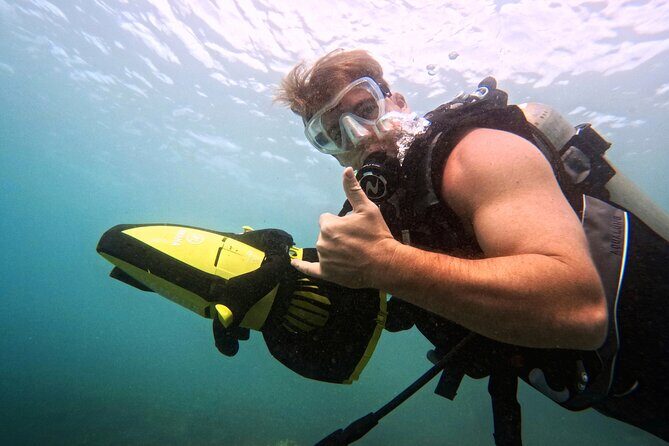 Scuba Diving in Maui with No Experience Needed - Authenticity and Customer Satisfaction