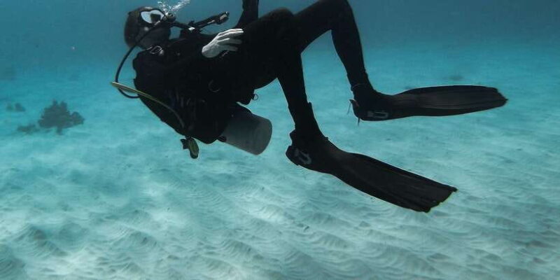 Scuba Diving in Mirissa - Key Points