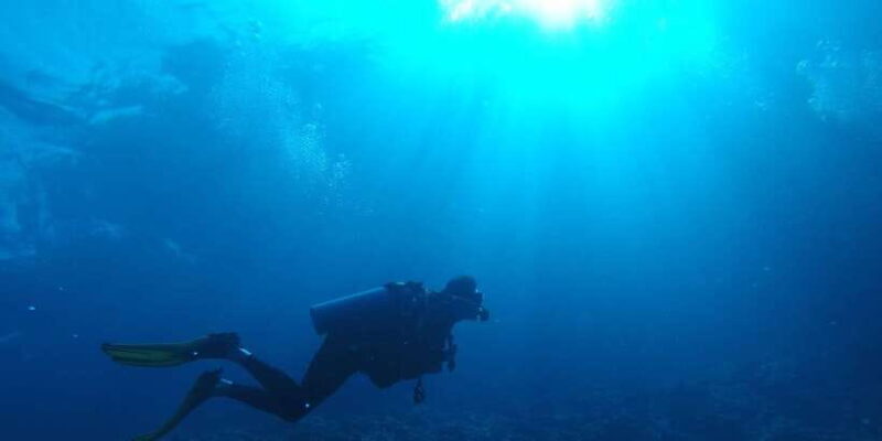 Scuba Diving in Mirissa - An In-Depth Look at the Mirissa Scuba Experience