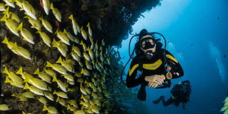 Scuba Diving in Mirissa - FAQs