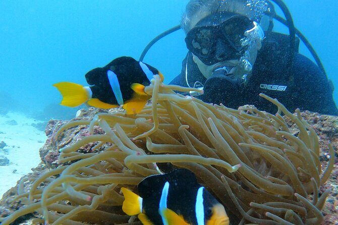 Scuba Diving in muscat - Key Points