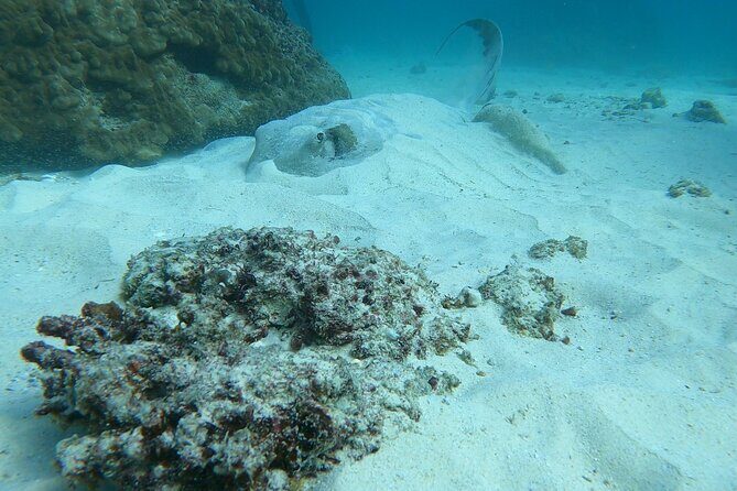 Scuba Diving in muscat - An In-Depth Look at the Muscat Scuba Tour