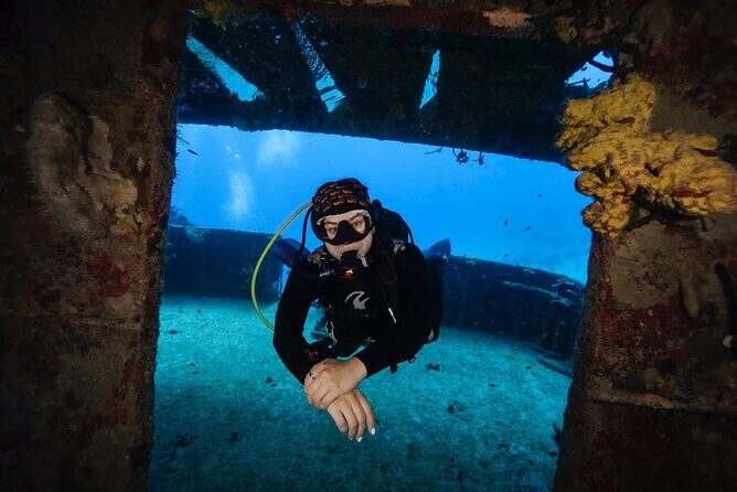 Scuba Diving in Playa del Carmen for Small Groups - What to Expect from Your Playa del Carmen Scuba Tour