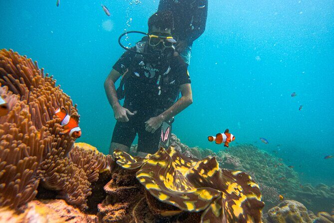 Scuba Diving in Tribe Gate - Why We Love the Experience