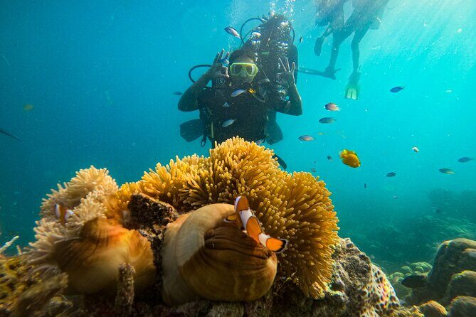 Scuba Diving in Tribe Gate - Who Is This Tour Best For?