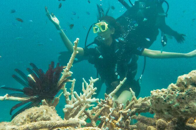 Scuba Diving in Tribe Gate - FAQ