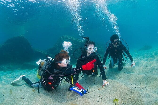 Scuba Diving in Yakushima island (for certified divers only) - Why Choose This Tour?