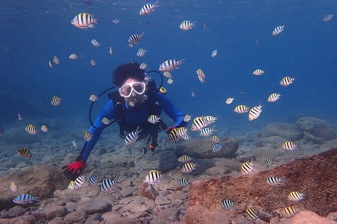 Scuba Diving in Yakushima island (for certified divers only) - The Sum Up: Is It Worth It?