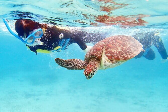 Scuba Diving in Yakushima island (for certified divers only) - FAQ