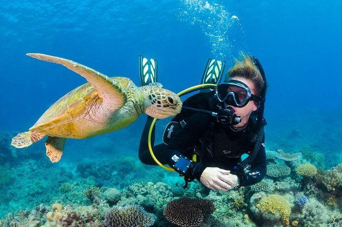 Scuba Diving on Catalina Island | 2 tanks, 2 spots - Detailed Review of the Catalina Island Scuba Tour