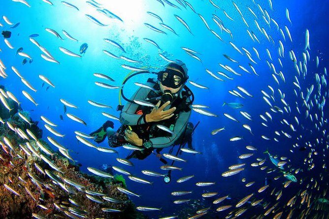 Scuba Diving on Catalina Island | 2 tanks, 2 spots - Who Is This Tour Best For?