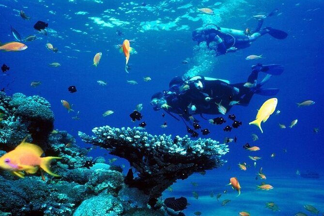 Scuba Diving Open Water PADI Course - Sharm El Sheikh - The Sum Up