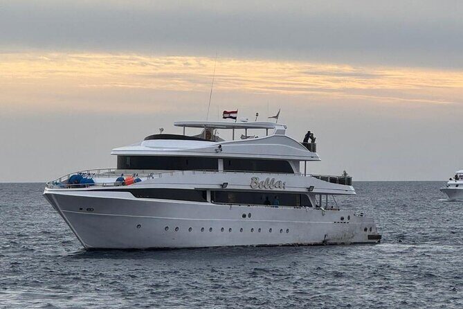 Scuba Diving Sea Trip with Lunch and Transfer from Hurghada - Introduction: Your Red Sea Underwater Adventure Awaits
