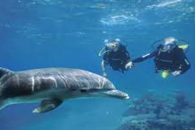 Scuba Diving Sea Trip with Lunch and Transfer from Hurghada - What Does the Price Get You?