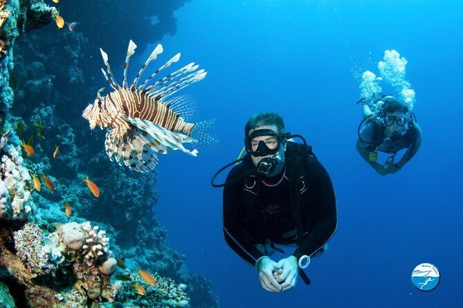Scuba Diving Sea Trip with Lunch and Transfer from Hurghada - Authentic Experiences and Reviews