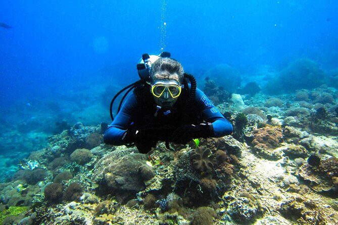 Scuba Diving Sea Trip with Lunch and Transfer from Hurghada - Who Is This Tour Best For?