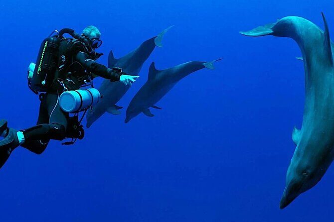 Scuba Diving Sea Trip with Lunch and Transfer from Hurghada - FAQ