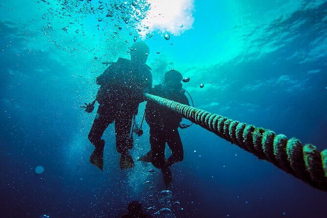 Scuba Diving to Dimaniyat Islands Muscat Oman - Exploring the Experience: What to Expect