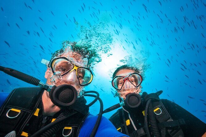 Scuba Diving to Dimaniyat Islands Muscat Oman - Practicalities: What You Need to Know