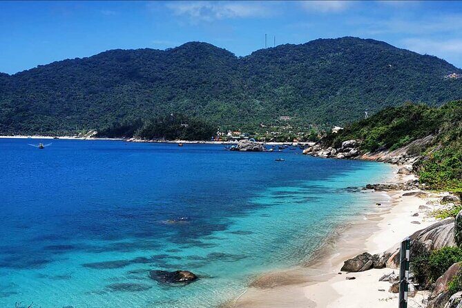 Scuba Diving Tour in Cham Island for certified divers or Beginners - Exploring the Cham Islands with a Scuba Diving Tour: A Practical Guide