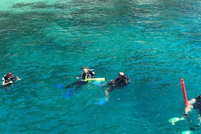Scuba Diving Tour in Cham Island for certified divers or Beginners - What to Expect from the Experience