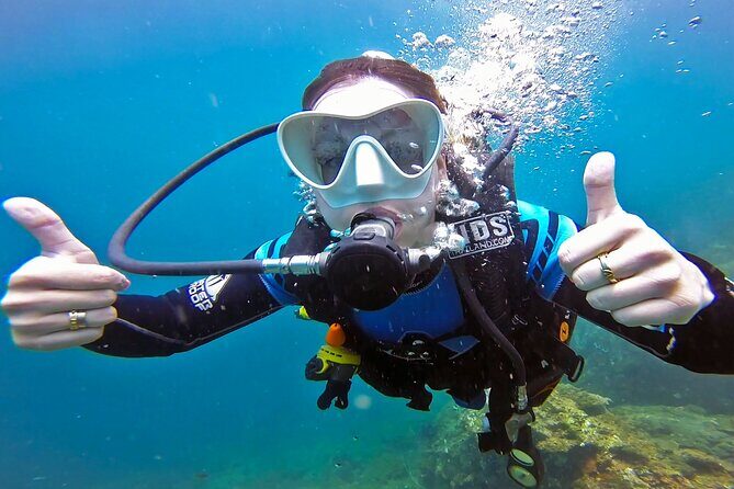 Scuba Diving Trip to Sail Rock From Koh Phangan (Certified Divers) - Authentic Insights from Travelers