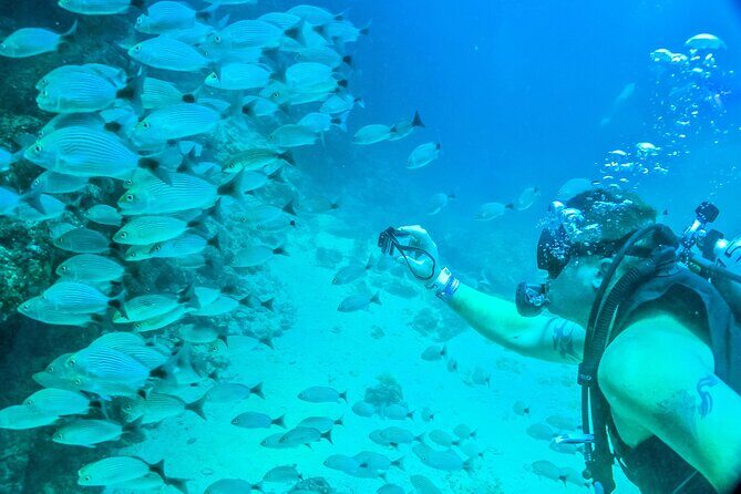 Scuba Diving with a 5-Star PADI Center in Puerto Vallarta - An In-Depth Look at the Experience