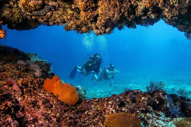 Scuba Diving with a 5-Star PADI Center in Puerto Vallarta - Who Will Love This Tour?