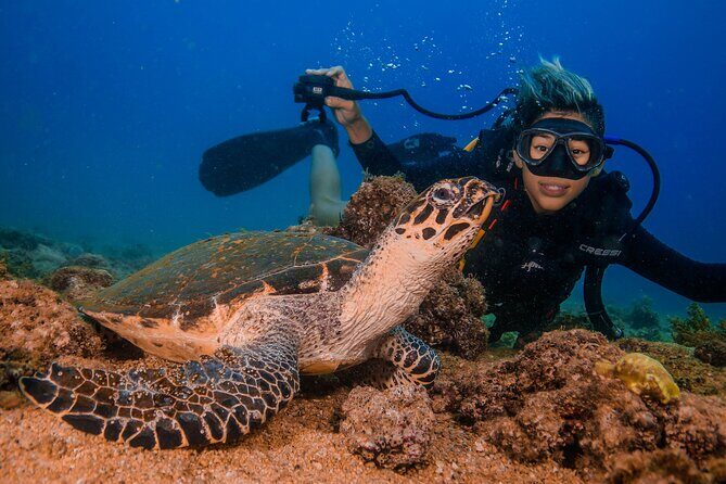 Scuba Diving with a 5-Star PADI Center in Puerto Vallarta - FAQ