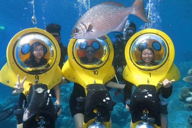 Scuba Doo Diving Experience in Punta Cana - Key Points